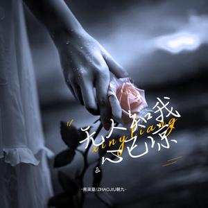 无人知我心已凉