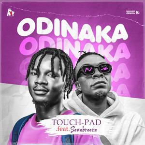 Odinaka (feat. Seanbreeze)
