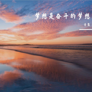 路灯下的流浪猫背影