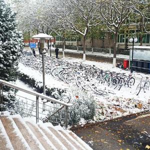 写不完论文（Prod By Lil Siren）