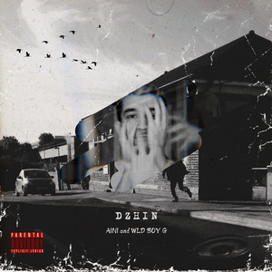 DZHIN