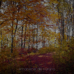 Los recuerdos difuminados de la canción de cuna melancólica