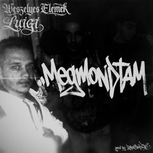 MEGMONDTAM (feat. Weszélyes Elemek & Luigi)