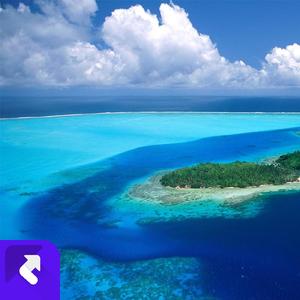 夜中空最亮的星 (现场)