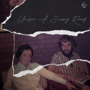 Cardinals in the Snow