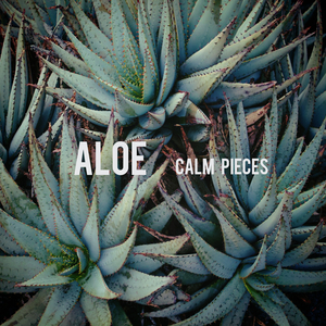 Aloe
