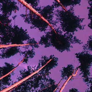 成熟家（Prod by chark）