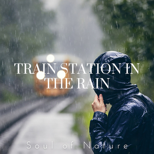 Gentle Sky Downpours on Train Station