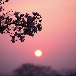 스러지는 순간에도