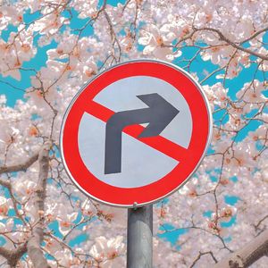 所以我伸出了手