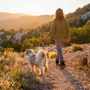 Música De Patas Energéticas