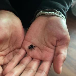 walk in the class late n shit