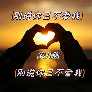 别说你已不爱我