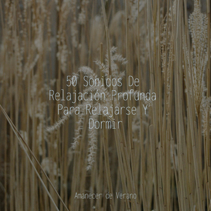 Melodías Infinitas de Felicidad