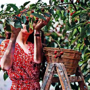 Headquartered Trailed