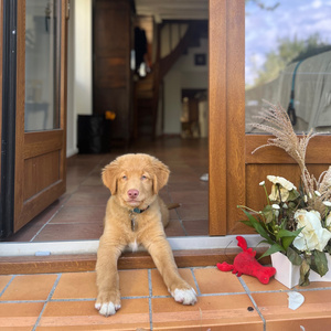 Tranquilidad (Instrumental Version)