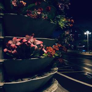 挣扎（prod by.Mocookie）