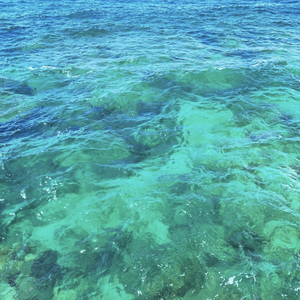 好像掉进爱情海里