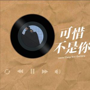可惜不是你