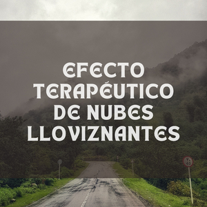 Sonidos De Hojas De Alta Frecuencia