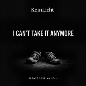 I Can't Take It Anymore