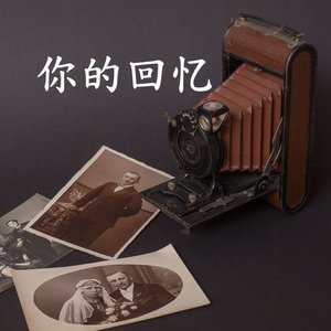 你的回忆