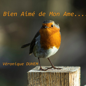 Et moi je suis à lui