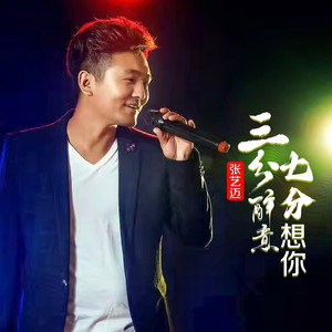 三分醉意七分想你