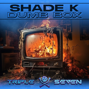 Dumb Box (Original Mix)