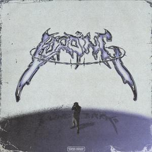 Lil Uzi Vert (feat. danu)