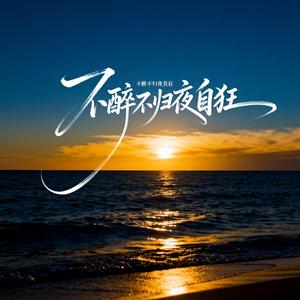 不醉不归夜自狂（深情男声版）