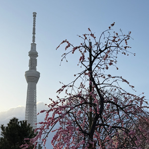 心が折れそうな時