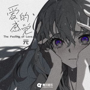 爱的感觉