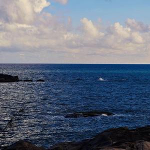 给老婆的保证书+宝，做海王真不好