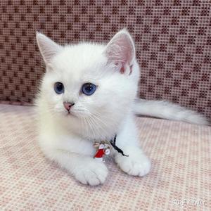 TA（翻自 不是花火呀）