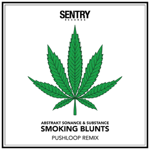 Smoking Blunts (Pushloop Remix)