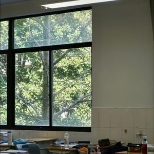 乡间小路上的悠悠回响