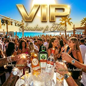 VIP (feat. Fless)