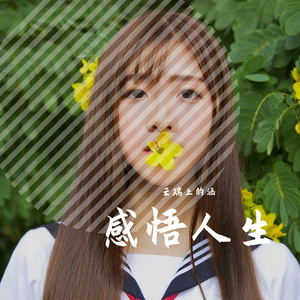 一往情深-纯音乐