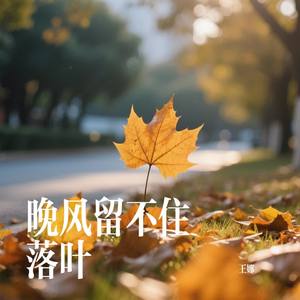 晚风留不住落叶