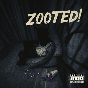 ZOOTED!