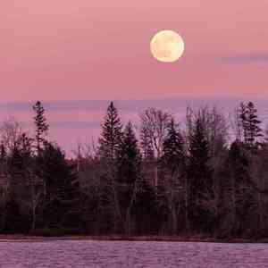 听听小曲儿 (催眠曲)