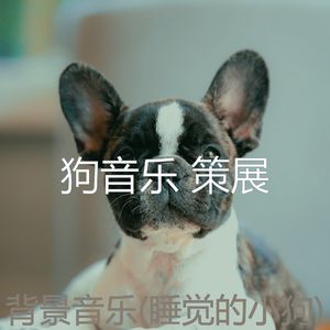 睡狗-快乐