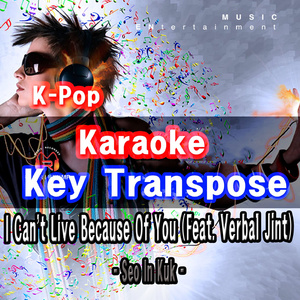 너 땜에 못살아 [-2Key Karaoke for Woman]