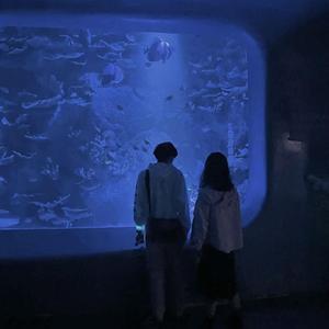 海是一座没有墙的城