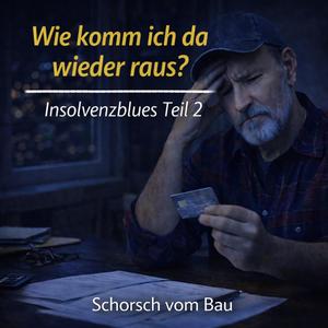 Der Insolvenz Blues II (Night Version)
