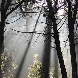 strisce di nebbia