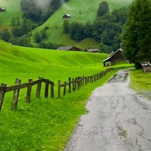 你是我守护的纯真