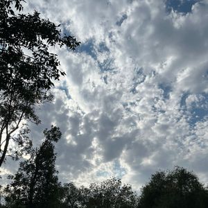 C级浪漫（cover：法老 邓典果）