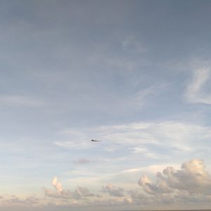 Doer and His Wings 多尔和他的翅膀